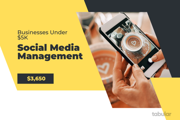 Business under 5k - social media specialist.